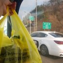 목포족발ㅡ목포황금족발 목포족발맛집이 무안족발맛집이 되기도합니다.