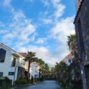 하논의 아침 이미지