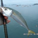 낚시만세 이미지