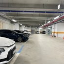 타운비전골프존 이미지