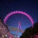 유럽 문화탐방 16일 후기입니다 이미지