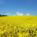 창건농장3 이미지