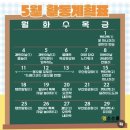 해들유치원 | 수원 멍스스쿨 애견 유치원 이용 만족 후기 (feat.견생 처음 유치원 방문)