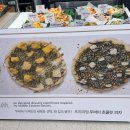 [대전/유성] 대전 신세계 백화점 지하1층 가성비 푸드코트 탐방 &amp; 팔당칼제비 식사 후기