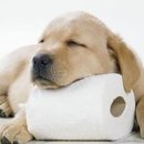 압구정웰동물병원 이미지