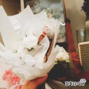 벨라플로르 이미지