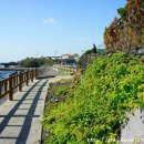 제주 올레길 4코스 이미지