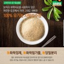 홀리씨드