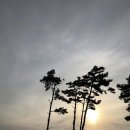 꽃지푸른솔펜션 이미지