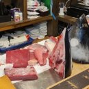 이승우참치 이미지