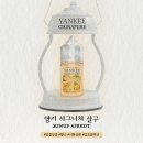 [양키베이프 시그니처 액상 리뷰] 양키 썬업 애프리콧! 양키 시그니처 입호흡 액상 너랑 살구 싶어...
