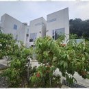 뮤즈 펜션 이미지