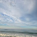 바다를 담다 | 강원도 삼척여행기록. 삼척해수욕장 맛집.바다를담다에서 해물요리파티