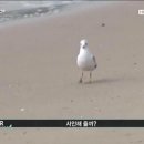 프란 - 노원구 | 프란