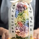 연진화분 이미지