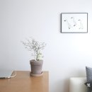 제이네집 이미지