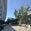 당카 | 我在中国