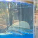 월성횟집 | [대구]::바다와 월성점:: | 비린맛 1도 없는 월성동 고등어회 맛집 솔직후기