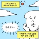 이연지농장 | [김즉흥 일상] 2023년 1월초 잘먹는 일상