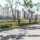 디엔테크 이미지