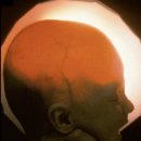 Pressed dr 이미지