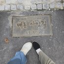 달달한나무 | [대전 대흥동카페] 분위기 맛집 '사잇길'에서 즐기는 달달한 디저트 타임 (내돈내산 솔직후기)