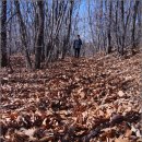 지용산인 이미지