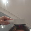 청월 | 분당 | 판교 현대백화점 팝업 3곳 (리필드, 바디앤, 청월당) 방문후기