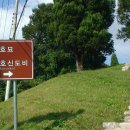 평정공윤호신도비 이미지