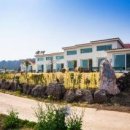 제주 터닝포인트 이미지