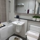 썬포레스트 이미지