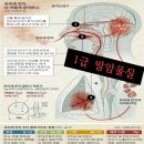 유니큐 이미지