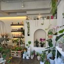 조아라 플라워 이미지