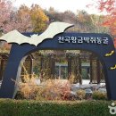 천곡 이미지