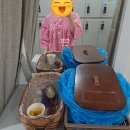 부산 세화병원에서 난소prp 받고 온지 둘째날 후기