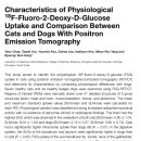 동물병원 WITH-PET 이미지