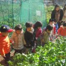 예주농장 이미지