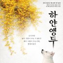 경주를 그리다 경북매일