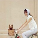 로마의휴일 이미지