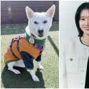 비엔씨네트워크 이미지