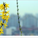 팔달공원 이미지