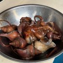 울진 직송 문어, 소라 전문점 목동 해산물 맛집 ‘주막해물촌’