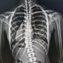 연세현대재활의학과의원 이미지