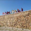 🌸 2026.04.25 (토) 충남 서산 벚꽃 여행길 / 고고씽 🌸 이미지