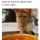 오뱅 이미지