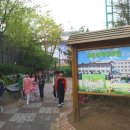 서흥초교 이미지