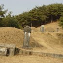 안동 권행 묘(安東 權幸 墓) Daum카페