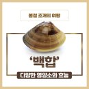 백합 이미지