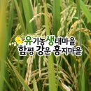 홍지마을 이미지