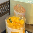 제일프리패스 | 대전 성심당 임산부 프리패스 후기 | ✅할인받는 꿀팁 + KTX 임산부 할인(40%)